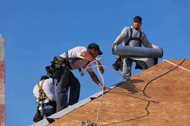 Best Best Roofing Contractors  in River Edge, NJ