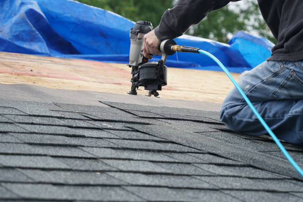 Best Roof Leak Repair  in River Edge, NJ