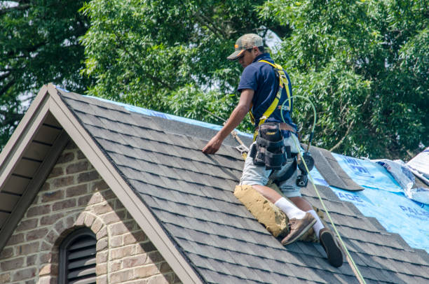 Best Roof Maintenance Services  in River Edge, NJ